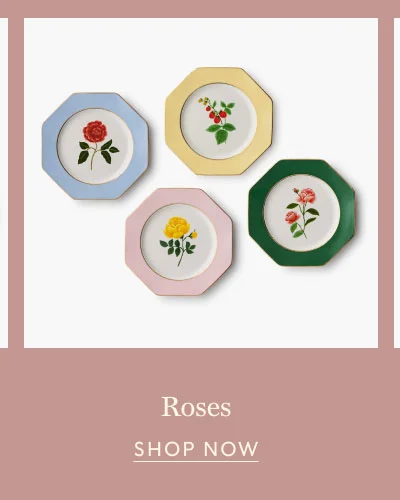 Roses SHOP NOW