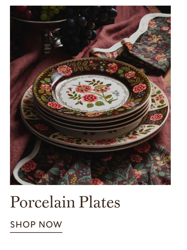 Porcelain Plates shop NOW
