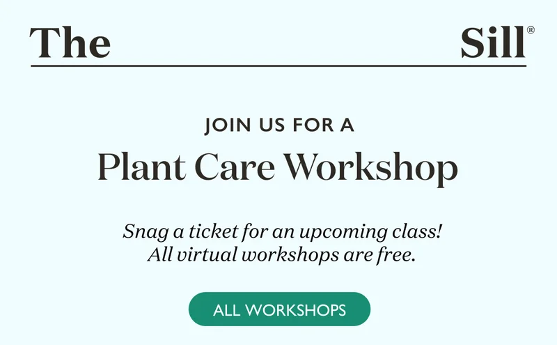 Snag a ticket for an upcoming class! All virtual workshops are free.