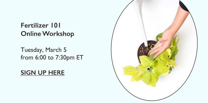 Fertilizer 101 Online Workshop on March 5
