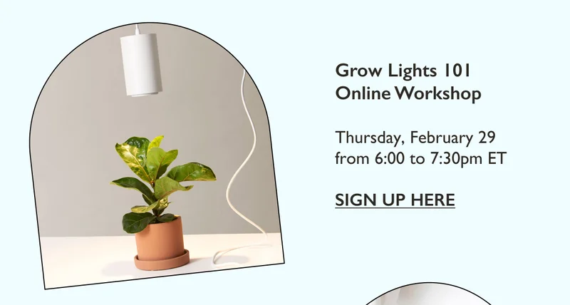 Grow Lights 101 Online Workshop on February 29
