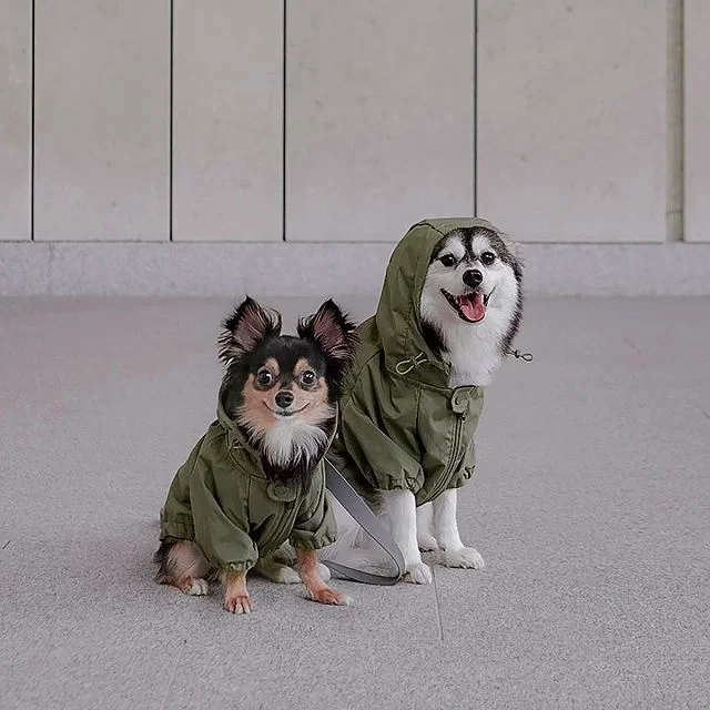 Water Resistant Packable Doggy Rain Jacket