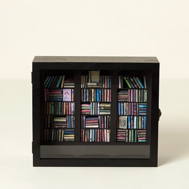 Shake a Shelf Stress Relief Book Nook