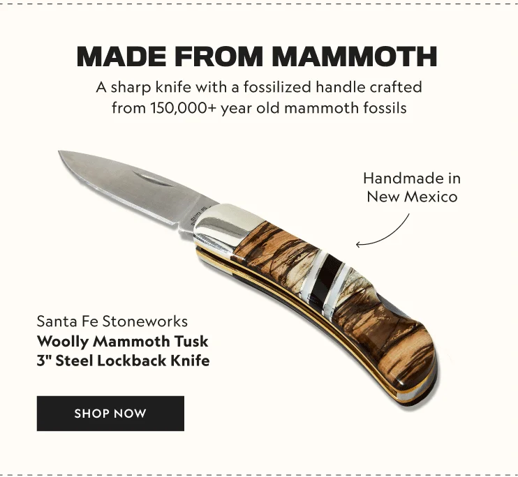 Woolly Mammoth Tusk 3 Steel Lockback Knife