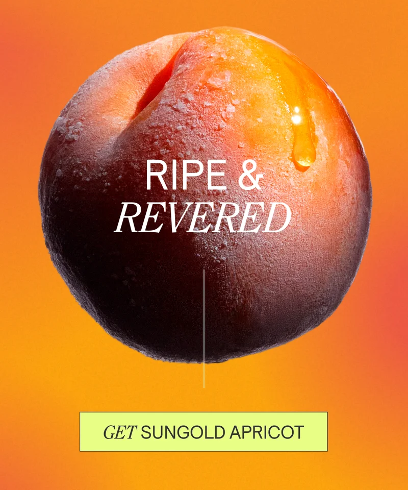 RIPE and REVERED