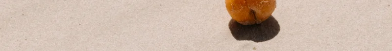 ARMRA Image
