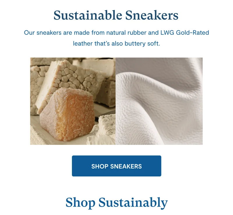 Sustainable Sneakers