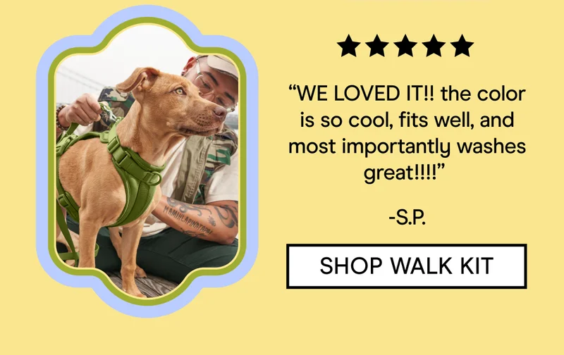 “WE LOVED IT!! the color is so cool, fits well, and most importantly washes great!!!!”  -S.P.