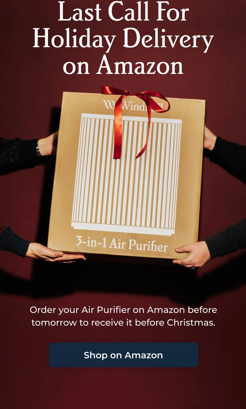 Last Call For Holiday Delivery on Amazon
