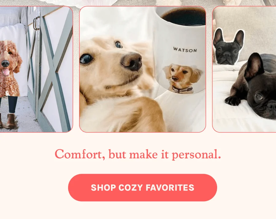 Shop Cozy Favorites