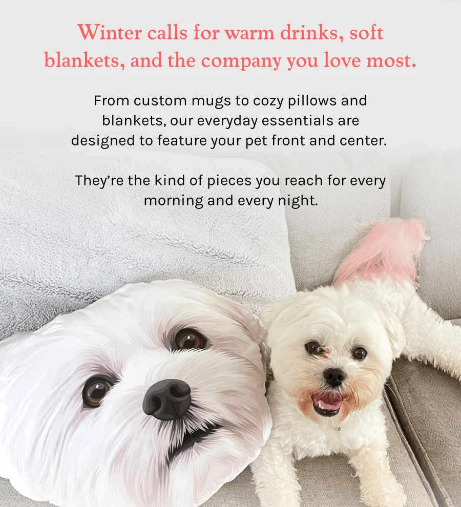 Shop Cozy Favorites