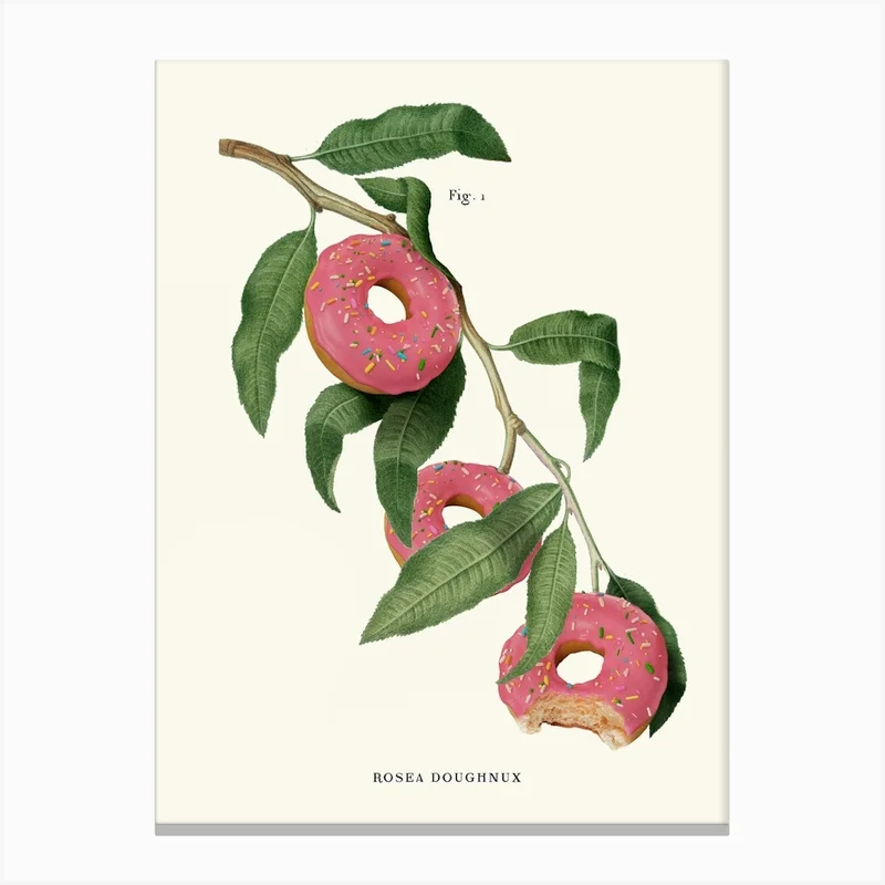 Image of Donut Plant Canvas Print
