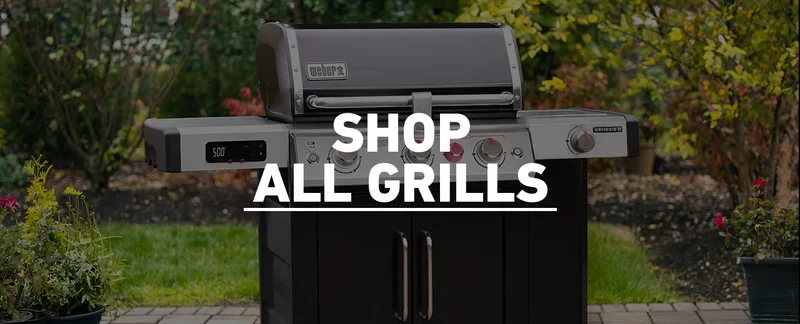 discover and shop all weber grills