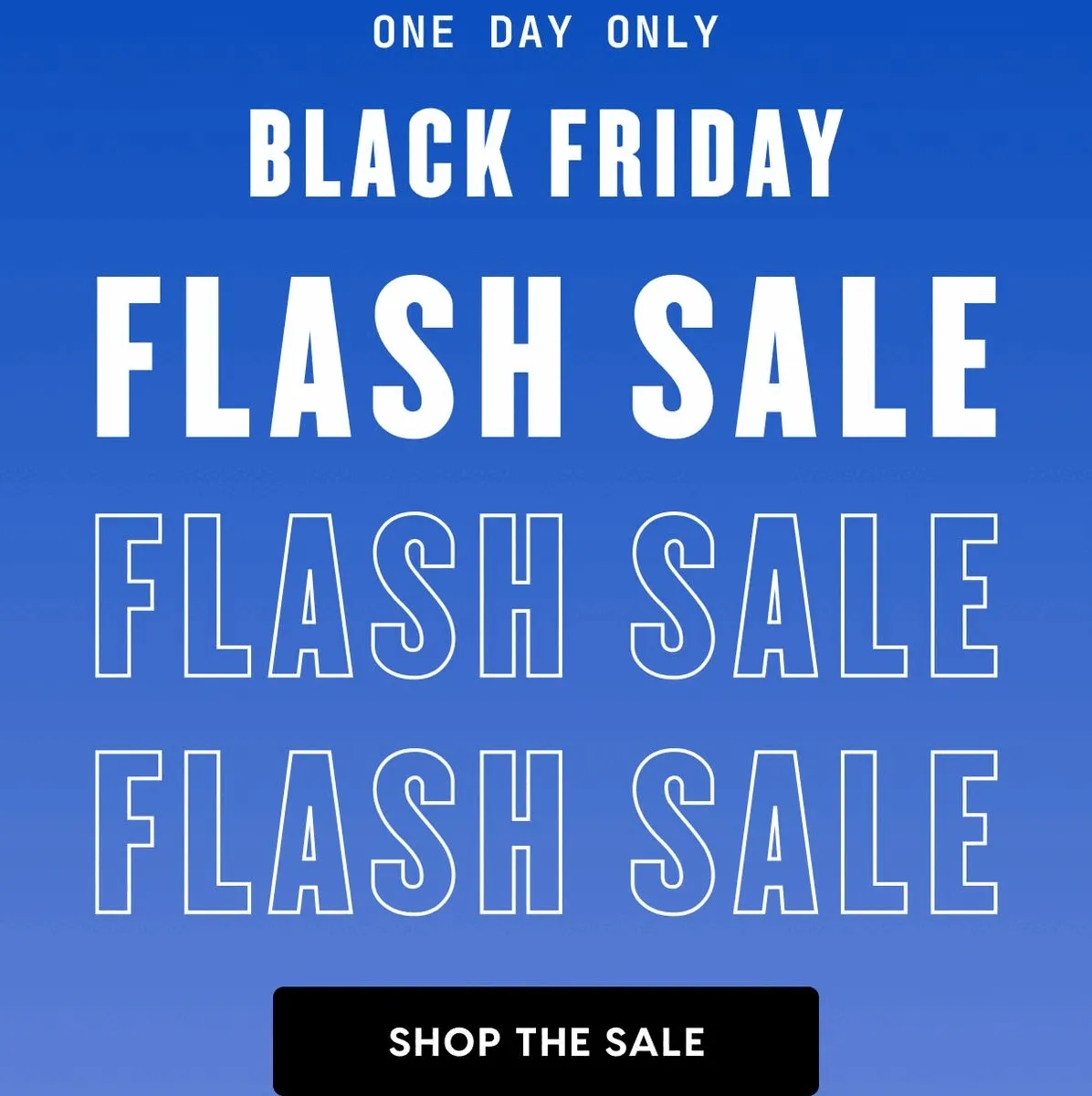 One day only | BLACK FRIDAY FLASH SALE | SHOP THE SALE