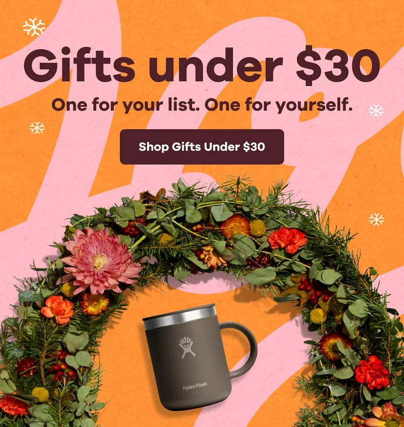Gifts under $30. One for your list. One for yourself. | Shop Gifts Under $30