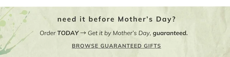 Fast Ship Gifts for Mother's Day