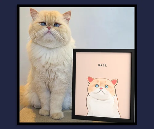 Funny Cartoon Cat Portrait customer photo