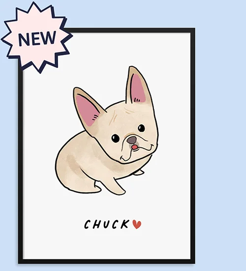 Kawaii Pet Portrait
