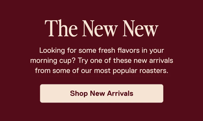 Shop New Arrivals