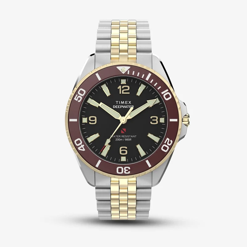 Image of DeepWater Arctic 40.5mm Watch