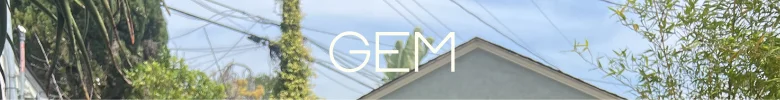 GEM