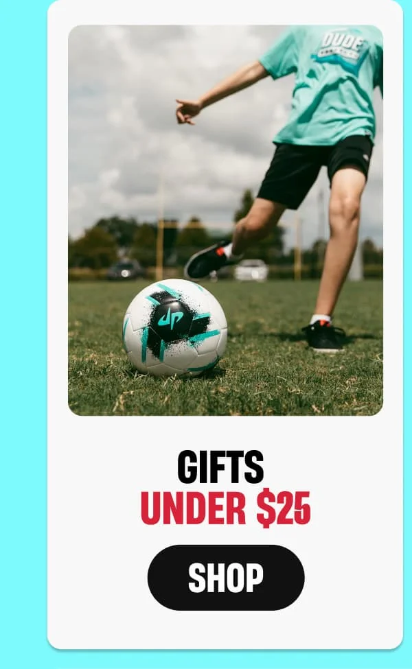 Gifts Under $25