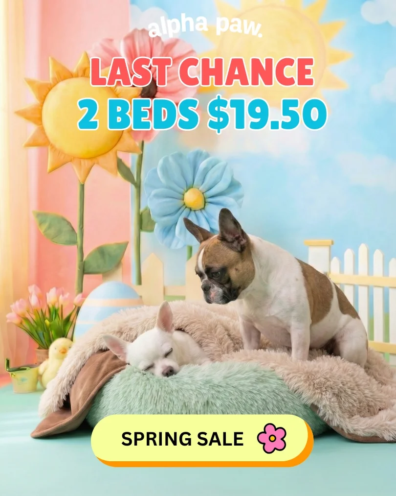 Hoppy Days Hoppy Days