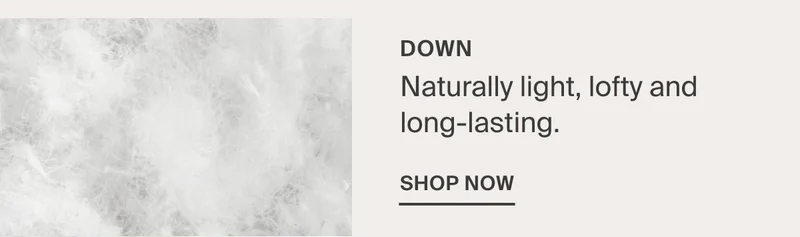 Shop Down Pillow