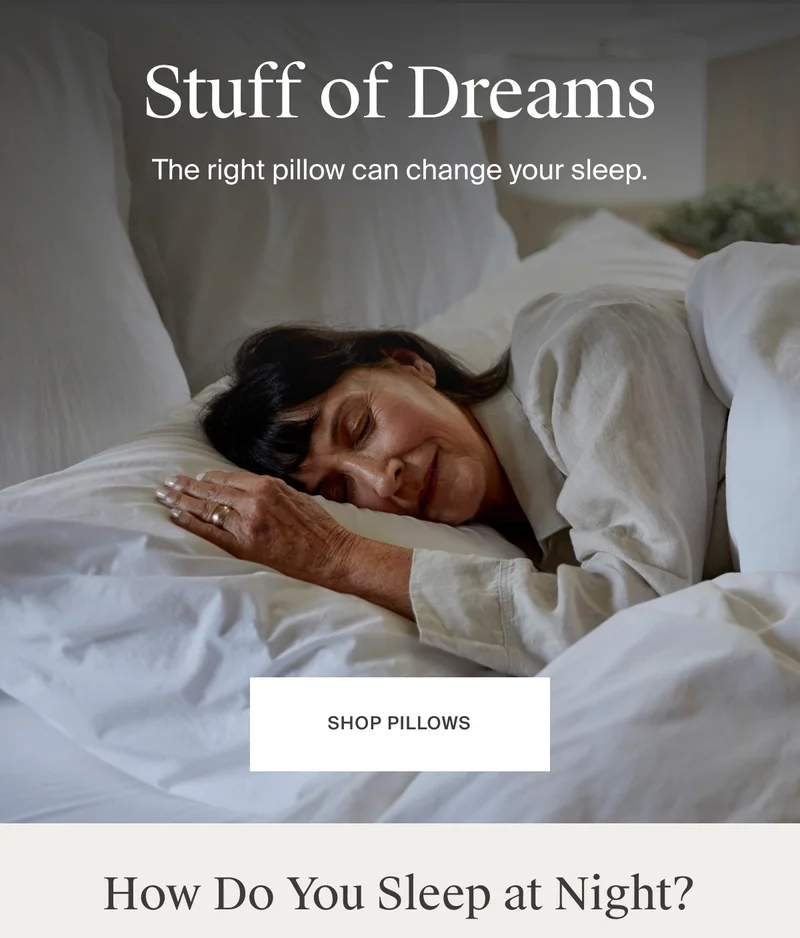 Shop Pillows