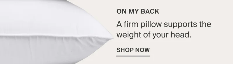 Shop Firm Down Pillow