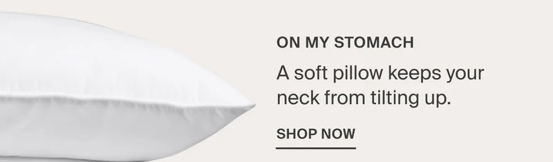 Shop Soft Down Pillow