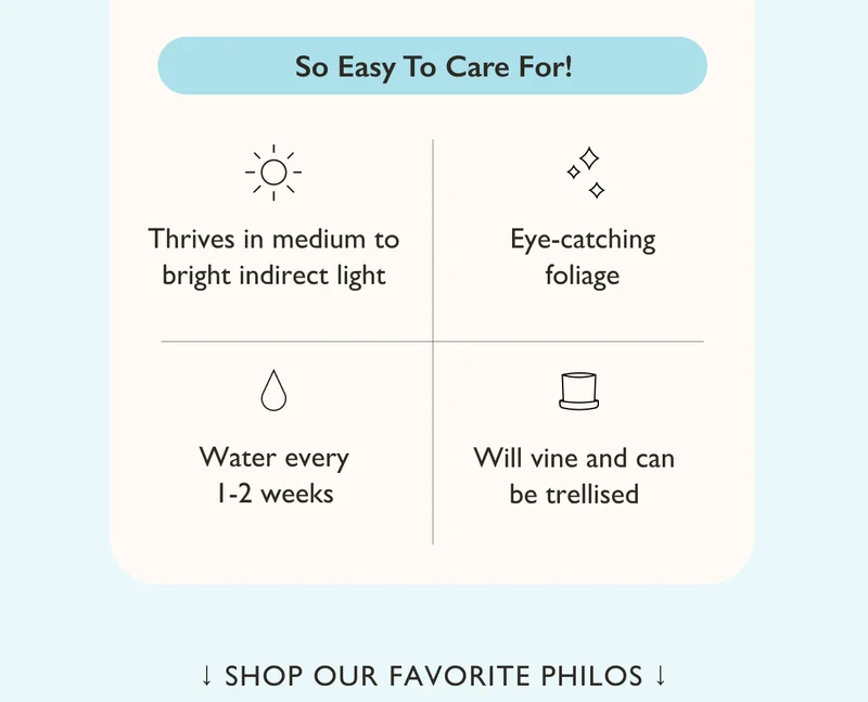 So Easy To Care For!