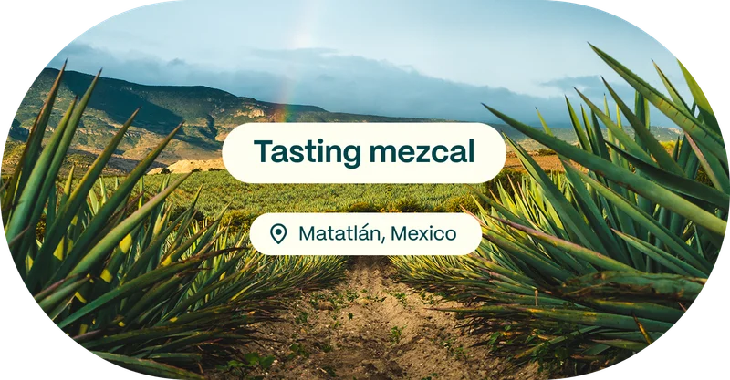 Tasting mezcal; Matatlán, Mexico
