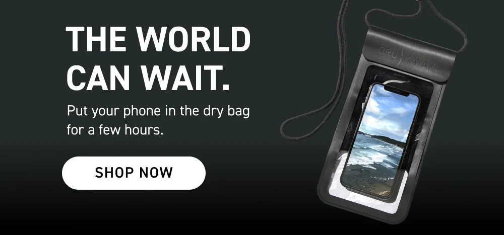 The World Can Wait