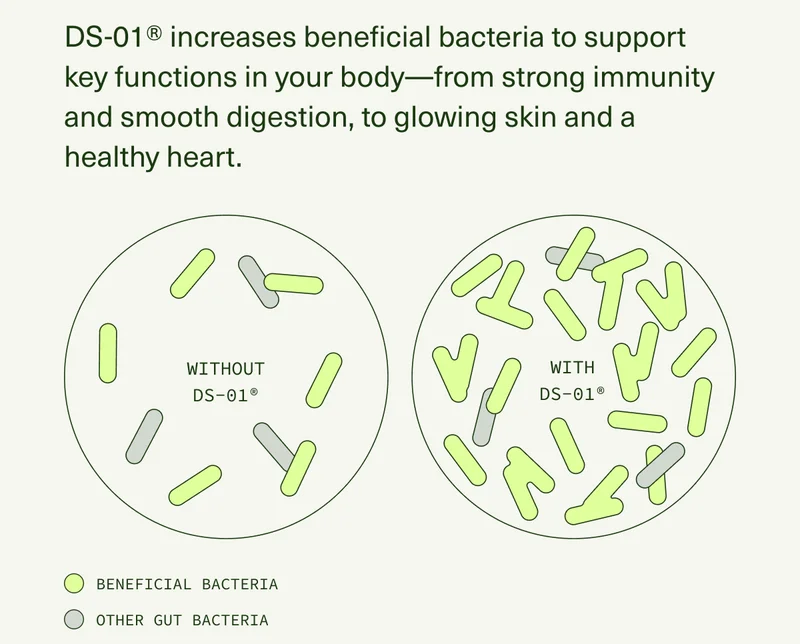 DS-01® increases beneficial bacteria to support key functions in your body—from strong immunity and smooth digestion, to glowing skin and a healthy heart.