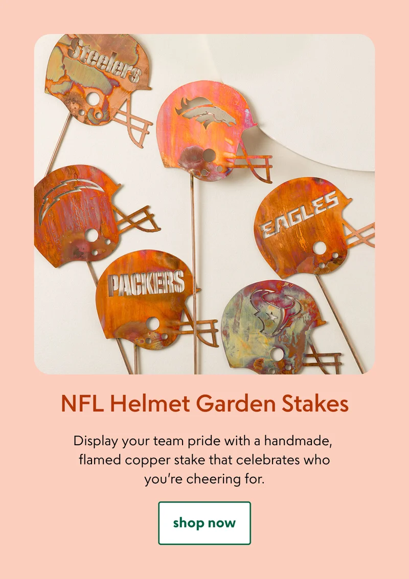 nfl-helmet-garden-stakes
