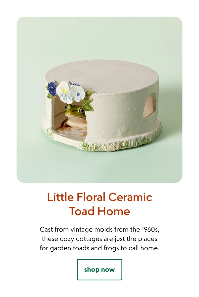 little-floral-ceramic-toad-home