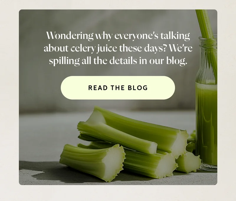 Wondering why everyone’s talking about celery juice these days? We’re spilling all the details in our blog.