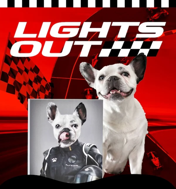 LIGHTS OUT