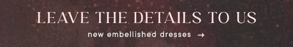 new embellished dresses