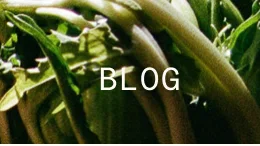 Blog