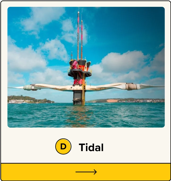 D. Tidal