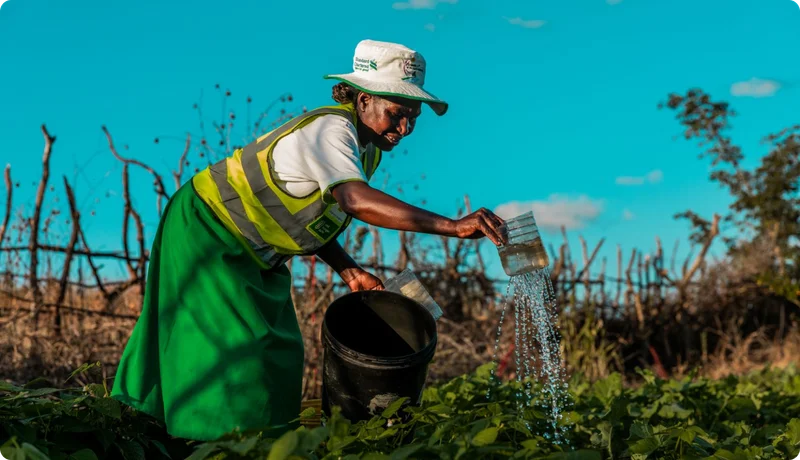 A woman waters her garden.