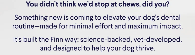 You didn’t think we’d stop at chews, did you? Something new is coming to elevate your dog’s dental routine—made for minimal effort and maximum impact. It's built the Finn way: science-backed, vet-developed, and designed to help your dog thrive.