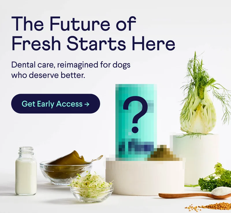 The Future of Fresh Starts Here! Dental care, reimagined for dogs who deserve better. Get Early Access ->