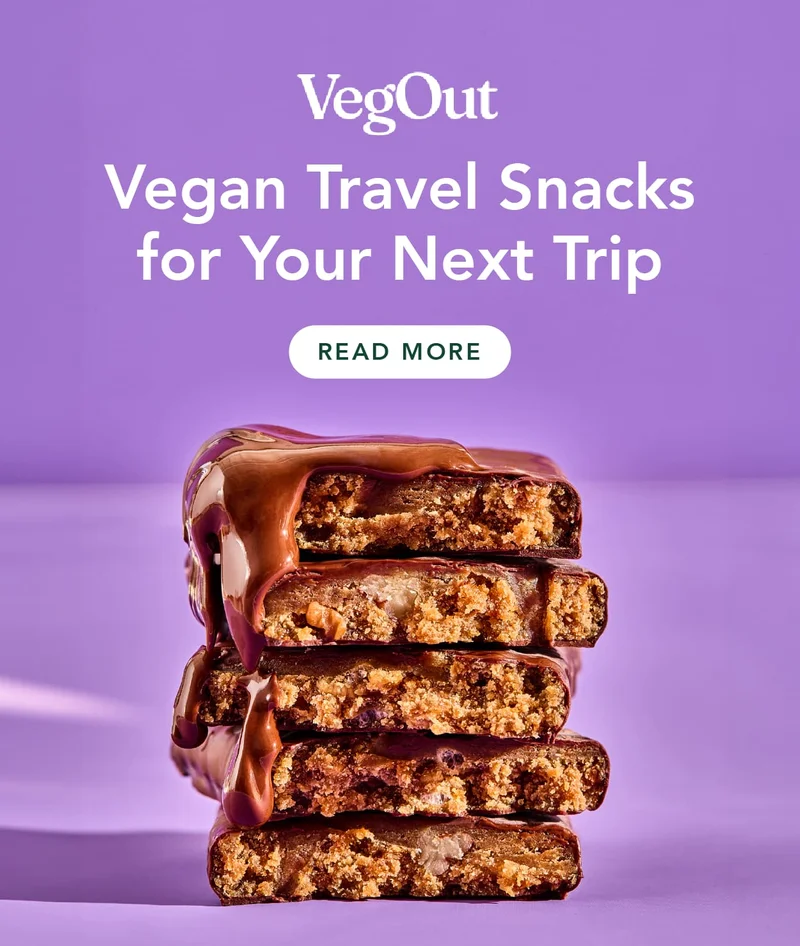 VegOut: Vegan Travel Snacks for Your Next Trip
