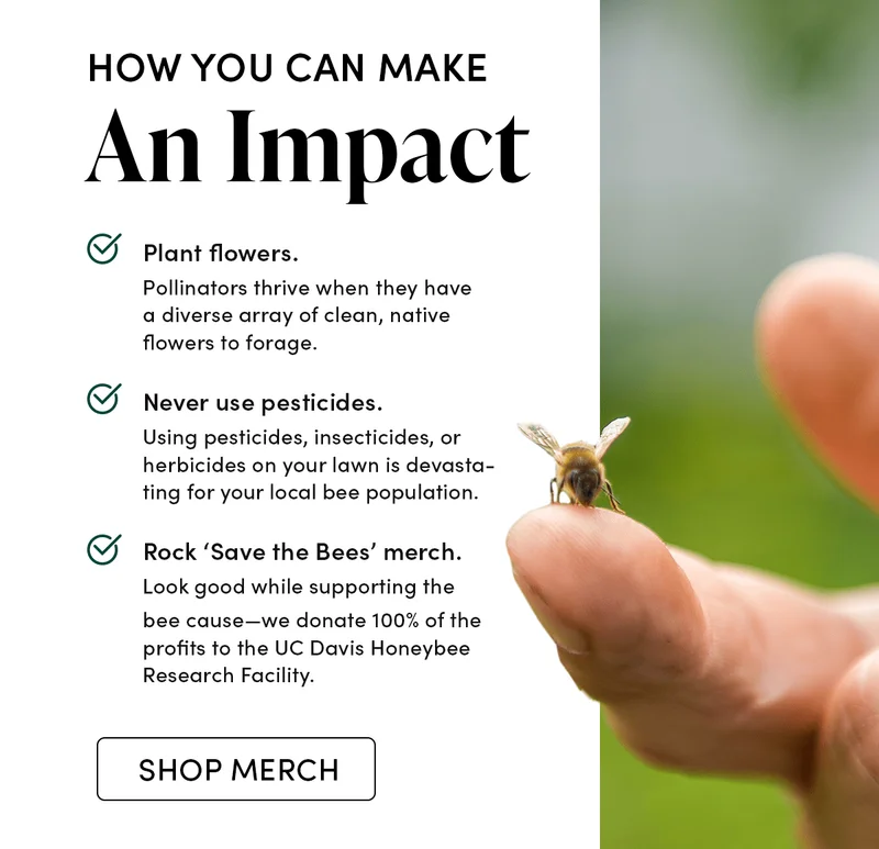 3 Ways You Can Make an Impact             ✅ Plant flowers.      Pollinators thrive when they have a diverse array of clean, native flowers to forage.        ✅ Never use pesticides.   Using pesticides, insecticides, or herbicides on your lawn is devastating for your local bee population.     ✅ Rock ‘Save the Bees’ merch.  Look good while supporting the bee cause—we donate 100% of the profits to the UC Davis Honeybee Research Facility.