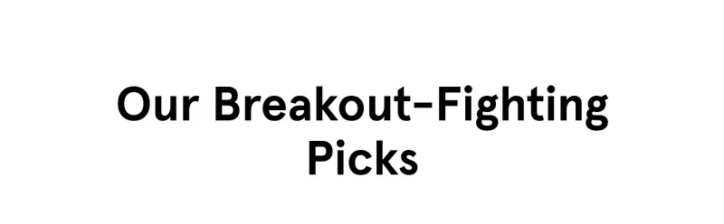 Our Breakout-Fighting Picks