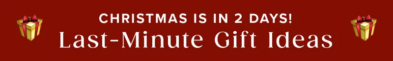 CHRISTMAS IS IN 2 DAYS! Last-Minute Gift Ideas