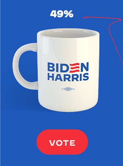 IMG OF BIDEN-HARRIS MUG